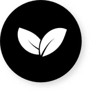 Avantage du bois écologique : co2 neutre Bois écologique avec co2 neutre